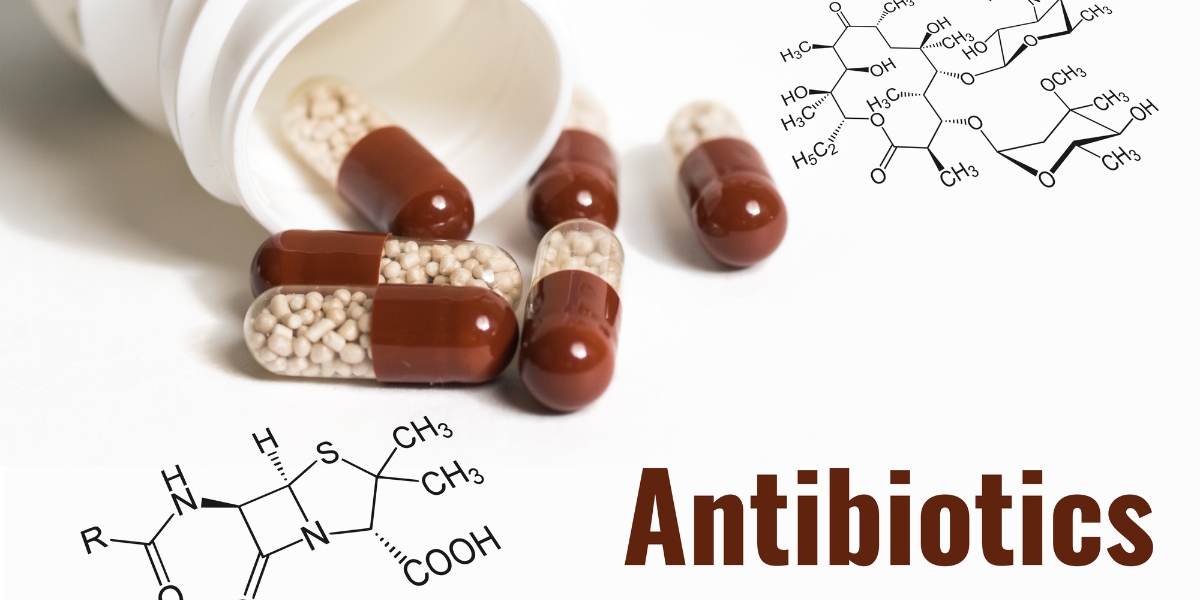 Antibiotics in Winter - Vim Drugs